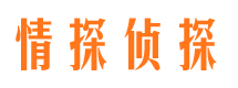 安达市私家侦探